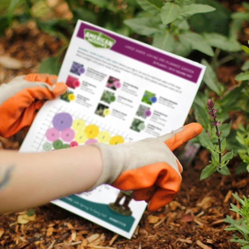 Deer Resistant Pre-Planned Garden - Image 3