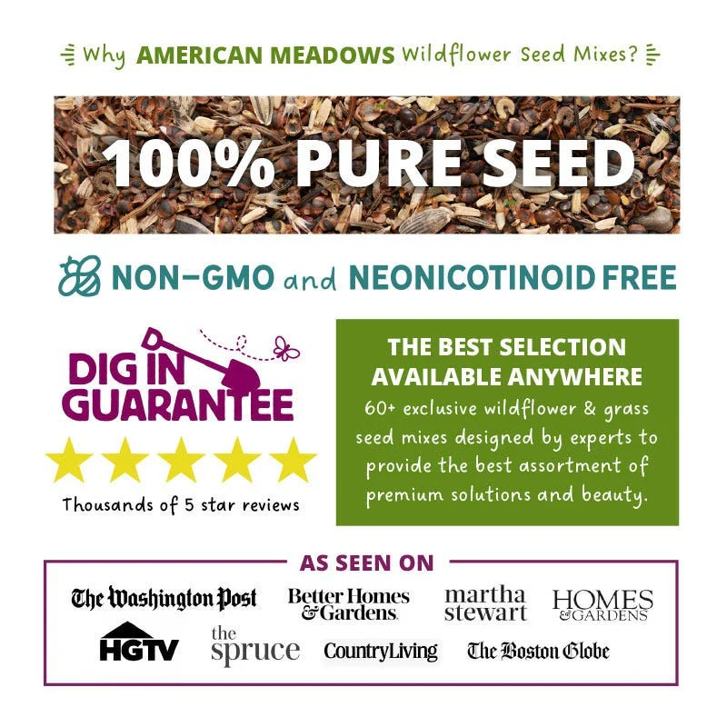 Rhode Island Select Wildflower Seed Mix - Image 3