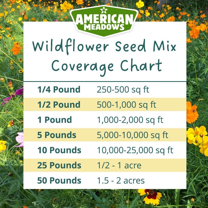 Texas & Oklahoma Select Wildflower Seed Mix - Image 4